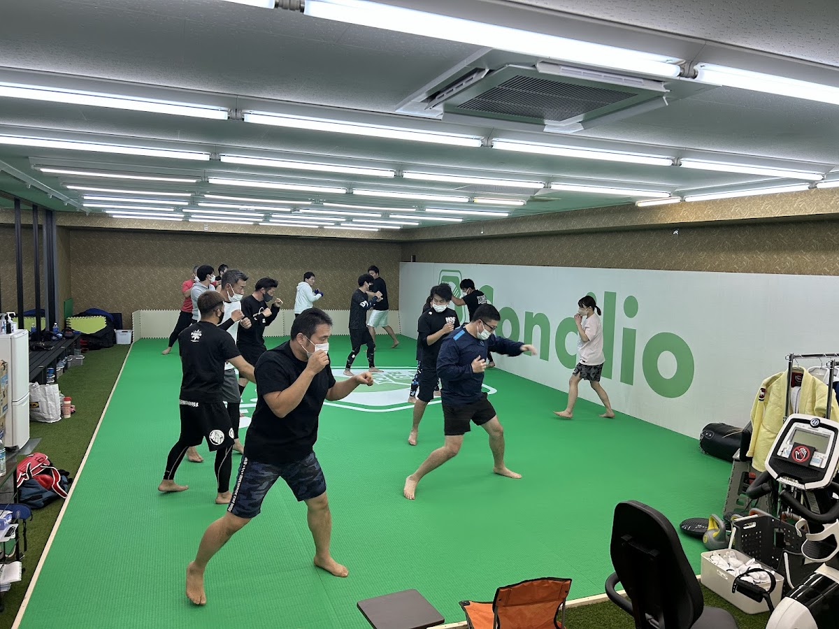 Concilio コンキリオ