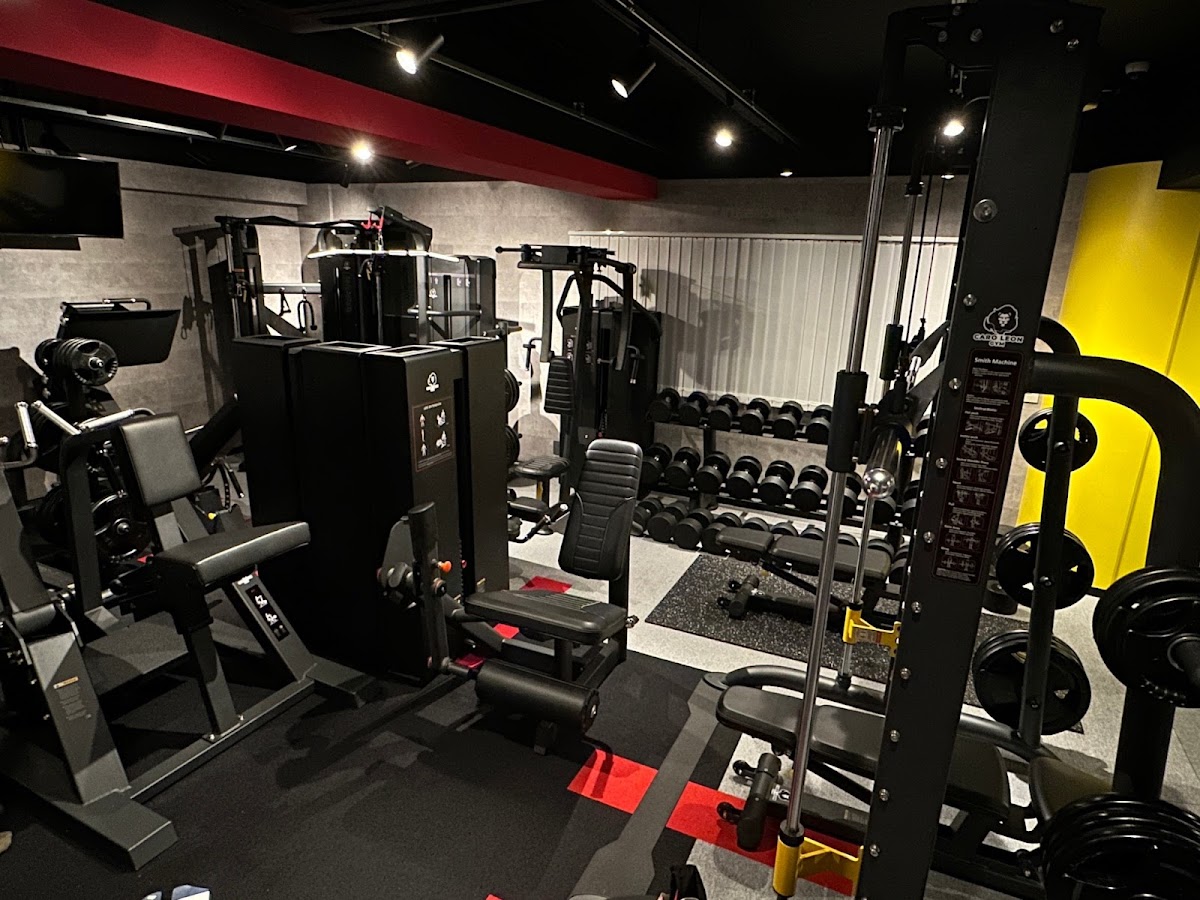CARO LEON GYM