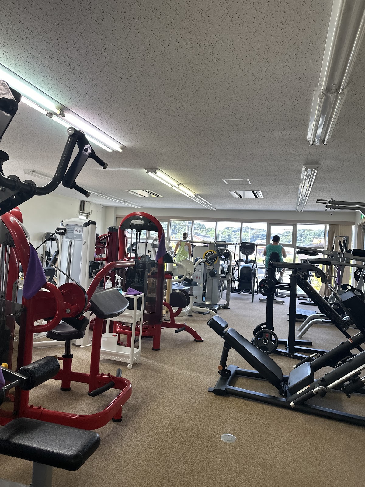 Koike's Gym 湖西