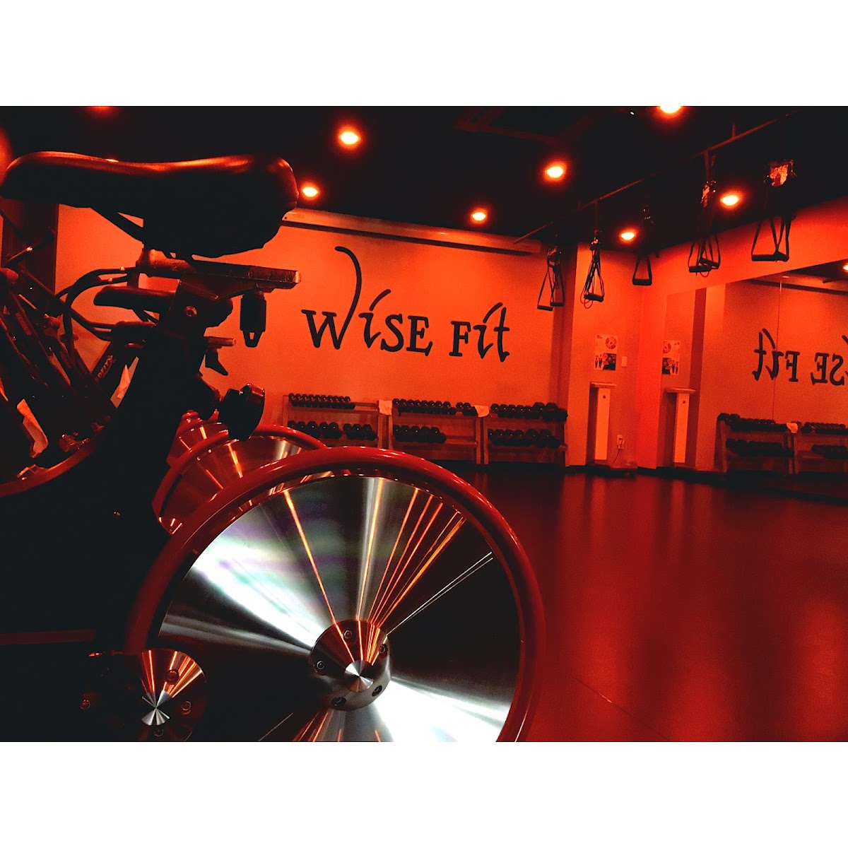 WiSE Fit
