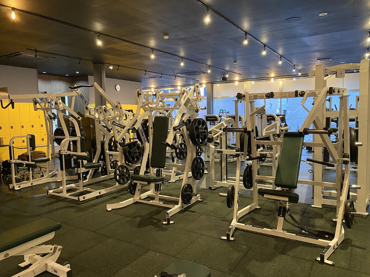 FORTIS FITNESS GYM