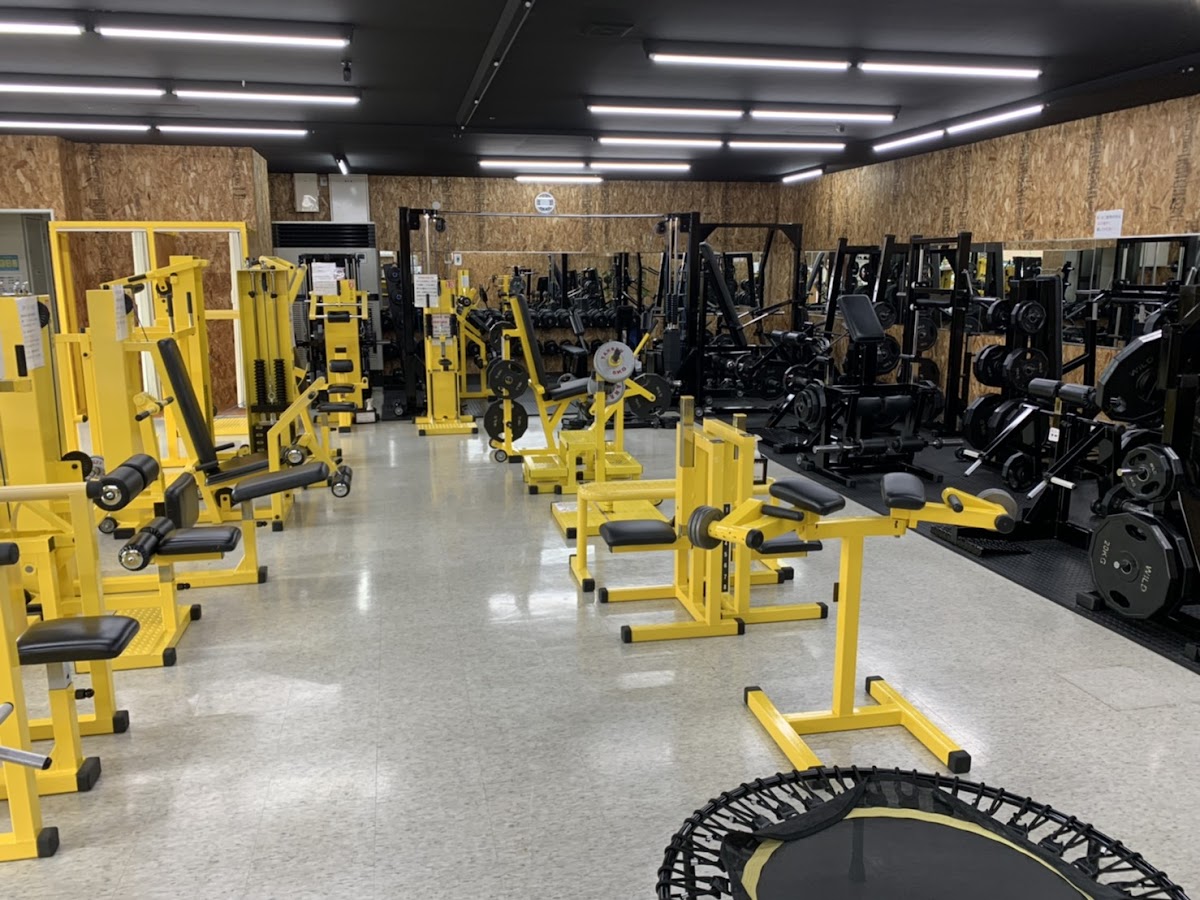 リアル筋力トレーニングGYM an